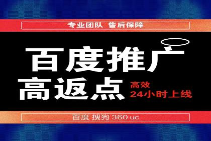 百度竞价排名服务：实战案例解析与优化技巧